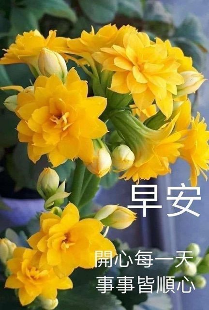 按我可連結至更清楚的圖片